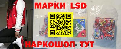 индика Заводоуковск