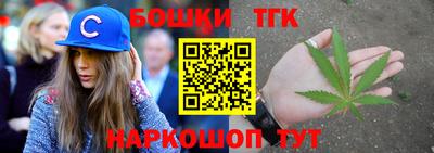 индика Заводоуковск