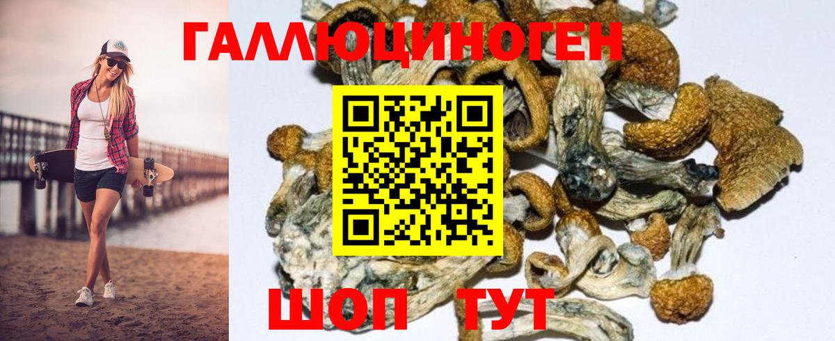 Псилоцибиновые грибы Psilocybe Кушва